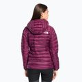 Moteriškos žieminės striukės The North Face Summit Breithorn Hoodie boysenberry 2