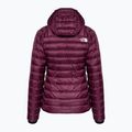 Moteriškos žieminės striukės The North Face Summit Breithorn Hoodie boysenberry 6