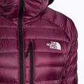 Moteriškos žieminės striukės The North Face Summit Breithorn Hoodie boysenberry 7