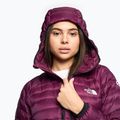 Moteriškos žieminės striukės The North Face Summit Breithorn Hoodie boysenberry 3