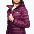Moteriškos žieminės striukės The North Face Summit Breithorn Hoodie boysenberry 4