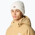 Moteriška žieminė kepurė The North Face Salty Bae Lined gardenia white 4