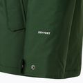 Vyriškos žieminės striukės The North Face Zaneck Jacket pine needle 9