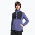 Vyriškas vilnonis megztinis The North Face Homesafe Snap Neck Fleece Pullover cave blue/black