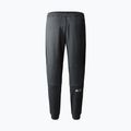 Vyriškos kelnės The North Face Ma Fleece asphalt grey/black 5