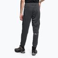 Vyriškos kelnės The North Face Ma Fleece asphalt grey/black 2