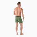 Vyriškos "Smartwool Merino Boxer" šiltos trumpikės "Boxer Brief" dėžutėje fern green 3