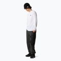Vyriški marškinėliai ilgomis rankovėmis The North Face Simple Dome white 2