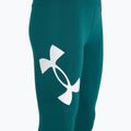 Moteriškos tamprės Under Armour Campus hydro teal/white 7