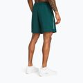 Vyriški treniruočių šortai Under Armour Woven Wdmk hydro teal/radial turquoise 3
