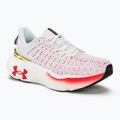 Moteriški bėgimo bateliai Under Armour Infinite Elite white/black/metallic gold