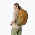 Patagonia Black Hole Pack 32 l turistinė kuprinė pufferfish gold 2