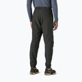 Vyriškos žygių kelnės Patagonia Nano-Air Light Bottoms black 3