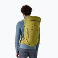 Turistinė kuprinė Patagonia Ascensionist 55 l graze green 4