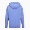 Džemperis Patagonia P-6 Logo Uprisal abundant blue 2