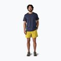 Vyriški šortai Patagonia Baggies 5" bundle green 2