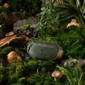 Juosmens krepšys Cotopaxi Kapai 1.5L Hip Pack del dia earth 6