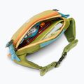 Rankinė ant juosmens Cotopaxi Allpa X Hip Pack 1,5 l lemongrass/cedar 6
