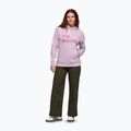 Moteriškas džemperis Cotopaxi Do Good Pullover Hoodie antique 2
