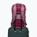 Miesto kuprinė Cotopaxi Allpa Daypack 26 l fig 6