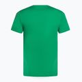 Vyriški teniso marškinėliai Nike Court Dri-Fit Heritage stadium green 2