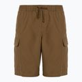 Vyriški šortai Vans Range Cargo Loose Short