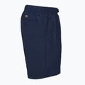 Vyriški šortai Vans Range Nylon Loose Short 3