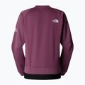 Moteriškas džemperis The North Face Mountain Athletics Fleece Crew midnight mauve 5