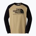 Vyriški marškinėliai ilgomis rankovėmis The North Face Heritage khaki stone/black