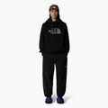 Vyriškas džemperis The North Face Drew Peak Pullover Hoodie black 2