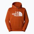 Vyriškas džemperis The North Face Easy Hoodie earthen copper