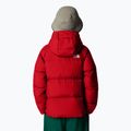 Vaikiška pūsta striukė The North Face North Down Hooded red 3