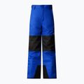 Vaikiškos slidinėjimo kelnės The North Face Freedom Insulated blue 4