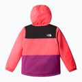 Vaikiška slidinėjimo striukė The North Face Kid Freedom Insulated radiant poppy 6