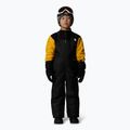 Vaikiškos slidinėjimo kelnės The North Face Kid Freedom Insulated Bib black 3