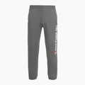Vyriškos kelnės The North Face Varsity Graphic medium grey heather