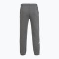 Vyriškos kelnės The North Face Varsity Graphic medium grey heather 2