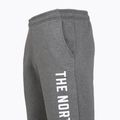 Vyriškos kelnės The North Face Varsity Graphic medium grey heather 3
