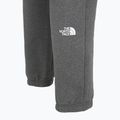 Vyriškos kelnės The North Face Varsity Graphic medium grey heather 4