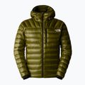 Vyriška pūsta striukė The North Face Summit Breithorn Hoodie forest olive 5