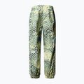 Vyriškos slidinėjimo kelnės The North Face Build Up nettle the lift print 5