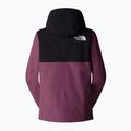 Moteriška slidinėjimo striukė The North Face Driftview Anorak black/midnight mauve 5