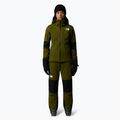 Moteriškos slidinėjimo kelnės The North Face Lenado Short forest olive/black 2