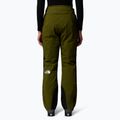 Moteriškos slidinėjimo kelnės The North Face Lenado Short forest olive/black 3