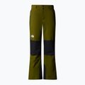 Moteriškos slidinėjimo kelnės The North Face Lenado Short forest olive/black 4