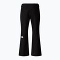 Vyriškos slidinėjimo kelnės The North Face Descendit black 5