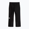 Vyriškos slidinėjimo kelnės The North Face Descendit tnf black 4