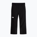 Vyriškos slidinėjimo kelnės The North Face Descendit tnf black 5