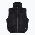 Moteriška liemenė Vans MTE Foundry Vest black