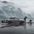Kabliukų dėžutė Thule Santu black 5